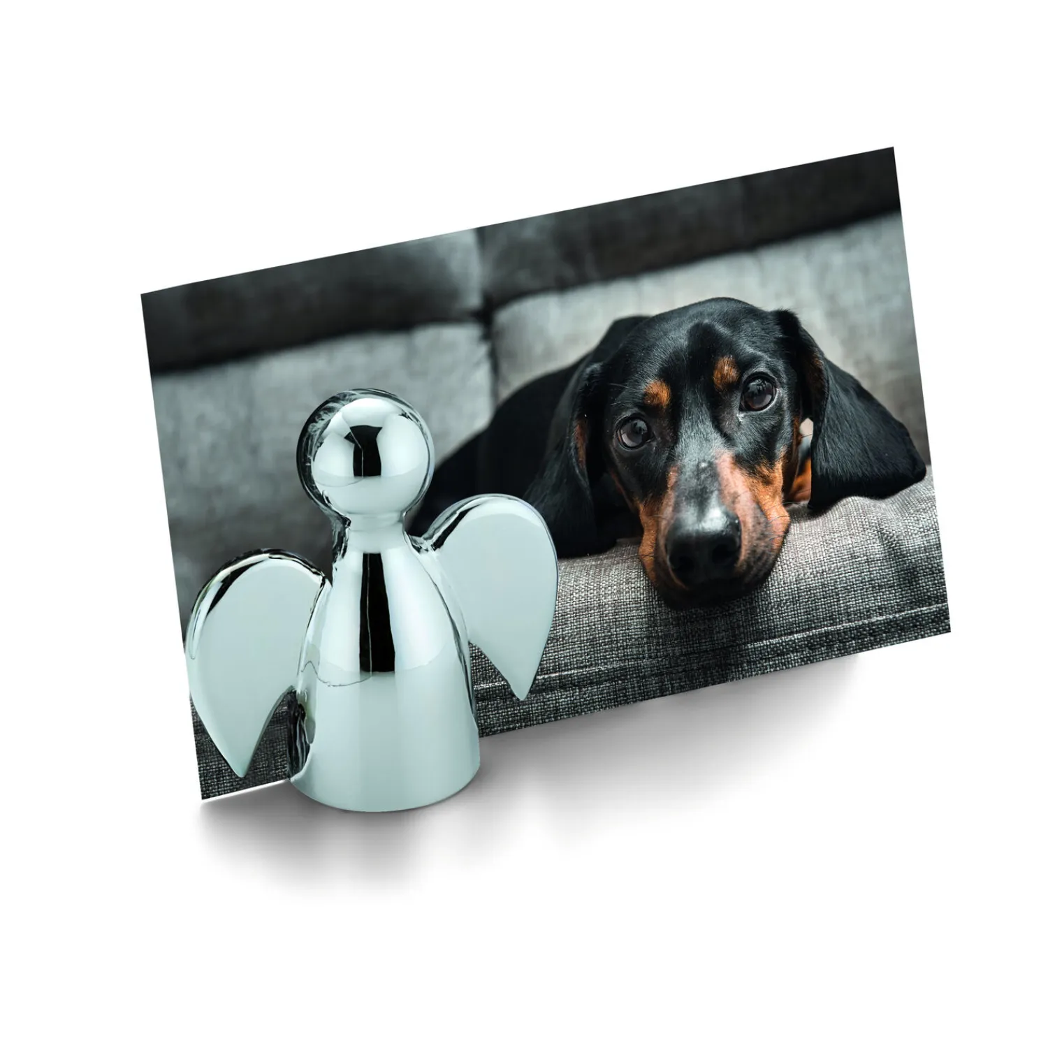 - Angelo picture holder*Philippi Online