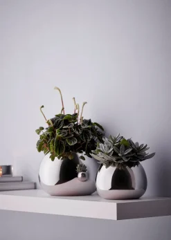 - Bella vase S*Philippi Clearance