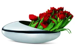 - Cocoon champagne cooler + tulip vase^Philippi New