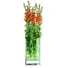 - Decade vase L*Philippi Clearance