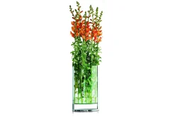 - Decade vase L*Philippi Clearance