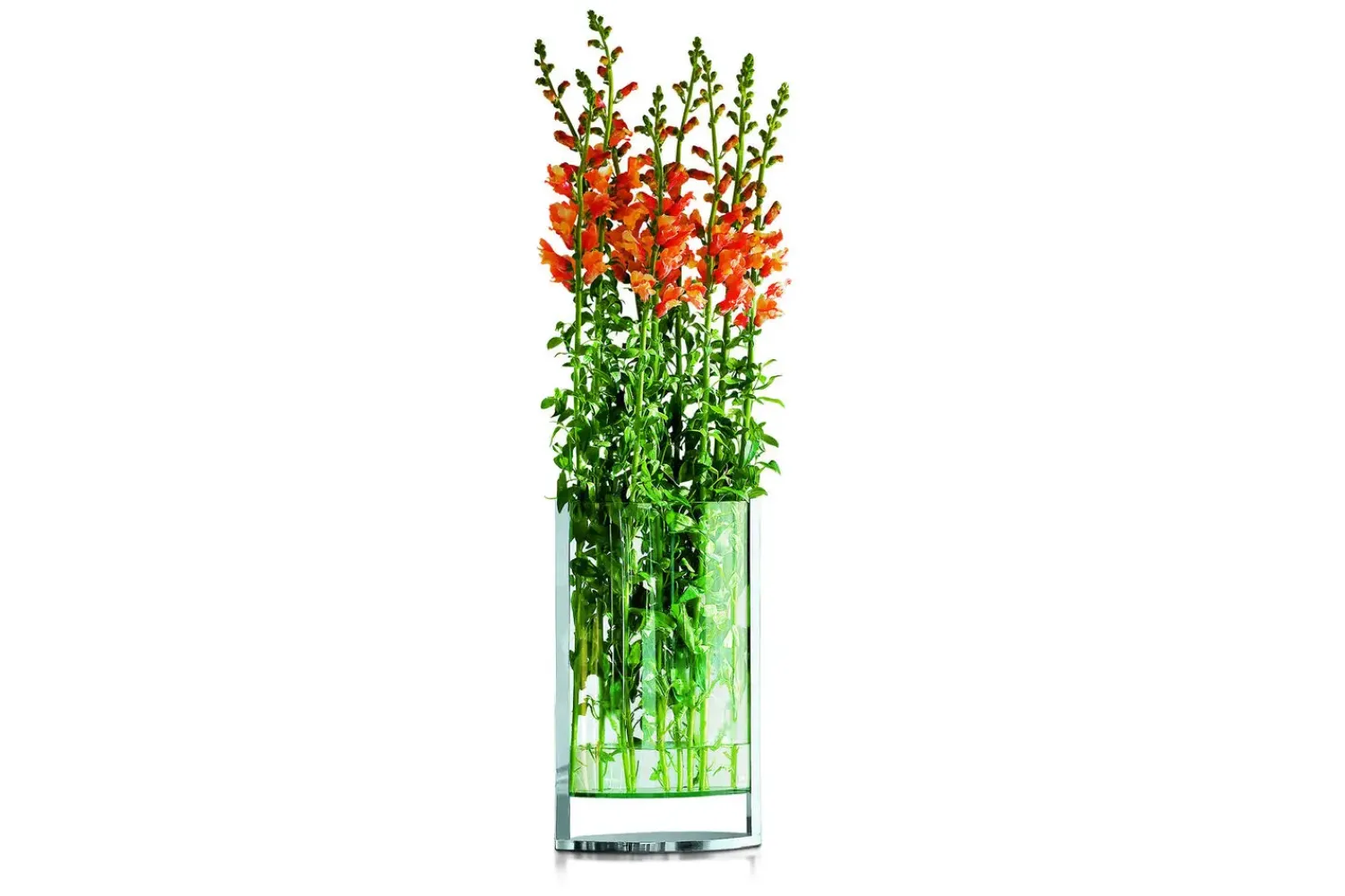 - Decade vase L*Philippi Clearance