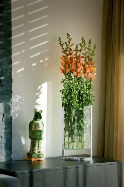 - Decade vase L*Philippi Clearance