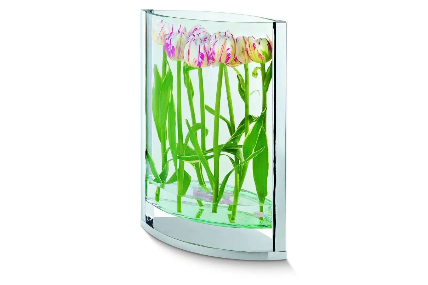 - Decade vase S^Philippi New