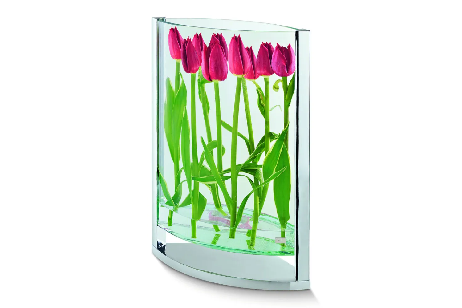 - Decade vase S^Philippi New