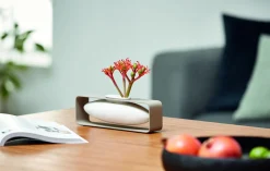 - Float vase, lateral*Philippi Best