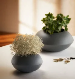 - Holm vase S^Philippi New