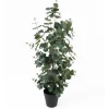- Artificial plant Eucalyptus Leaf large*Present time Sale