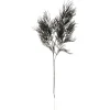 - Artificial plant Asparagus Fern Stem black^Present time Clearance