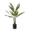 - Artificial plant Calathea green w. white*Present time Discount