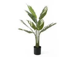 - Artificial plant Calathea green w. white*Present time Discount