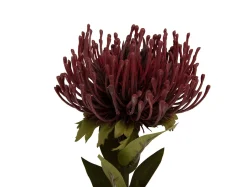 - Artificial plant Protea Flower small burgundy red^Present time Hot