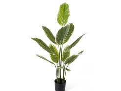 - Artificial plant Calathea large*Present time Discount