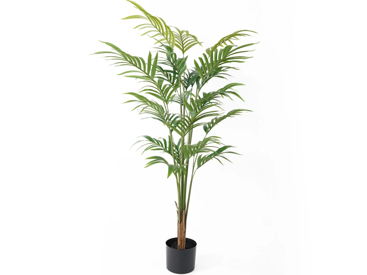- Artificial plant Palm Tree*Present time Clearance