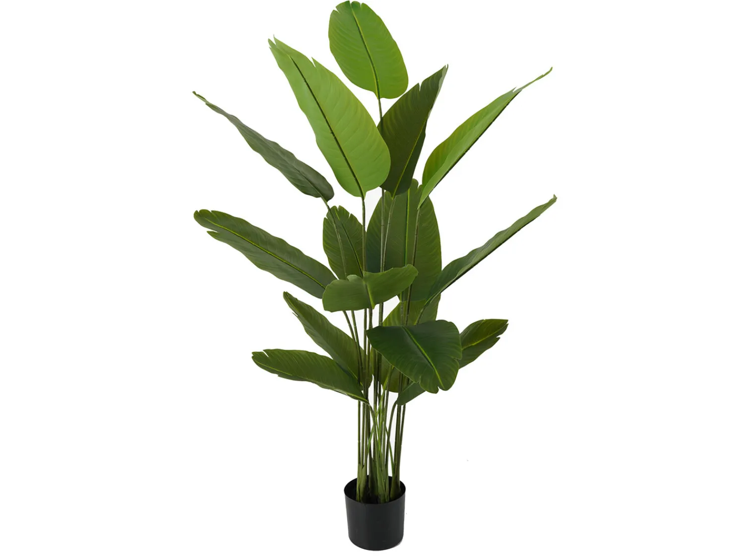 - Artificial plant Canna green*Present time Best