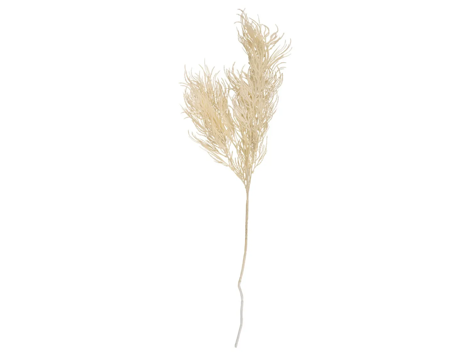 - Artificial plant Asparagus Fern Stem white*Present time Discount