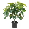 - Artificial plant Shefflera green^Present time Clearance