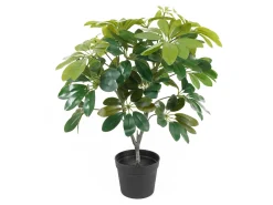 - Artificial plant Shefflera green^Present time Clearance