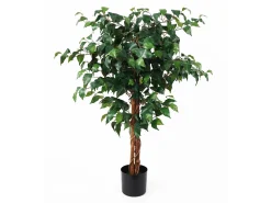 - Artificial plant Fig Ficus^Present time Online