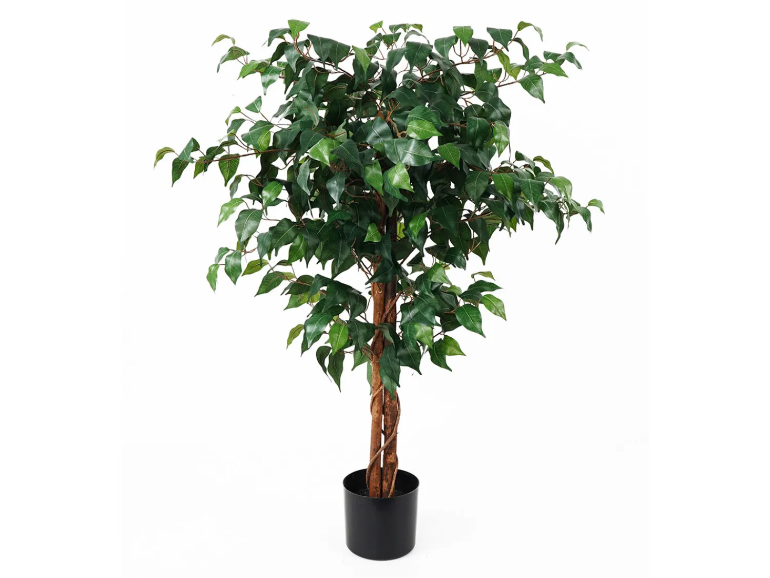 - Artificial plant Fig Ficus^Present time Online