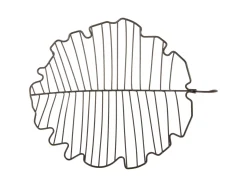 - Fruit basket Leaf large iron black^Present time Discount