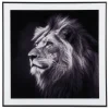 - Photo art Lion glass black & white^Present time Hot