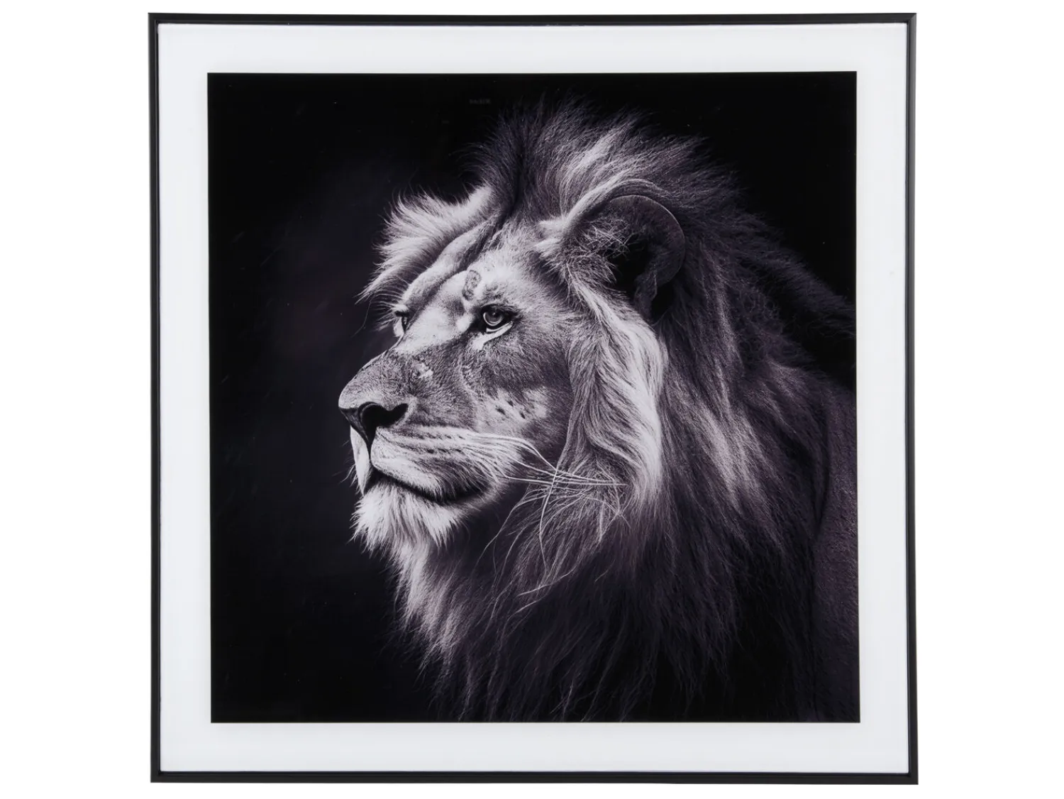 - Photo art Lion glass black & white^Present time Hot