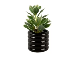 - Plant Pot Bobbly Glazed ceramic small black^Present time Clearance