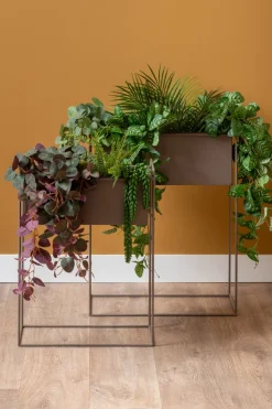 - Plant pot set Essence straight iron moss green*Present time Outlet