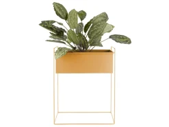 - Plant pot set Essence straight iron ochre yellow*Present time