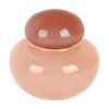 - Vase Nuevo Dulce small soft pink w. tan rose lid^Present time Online