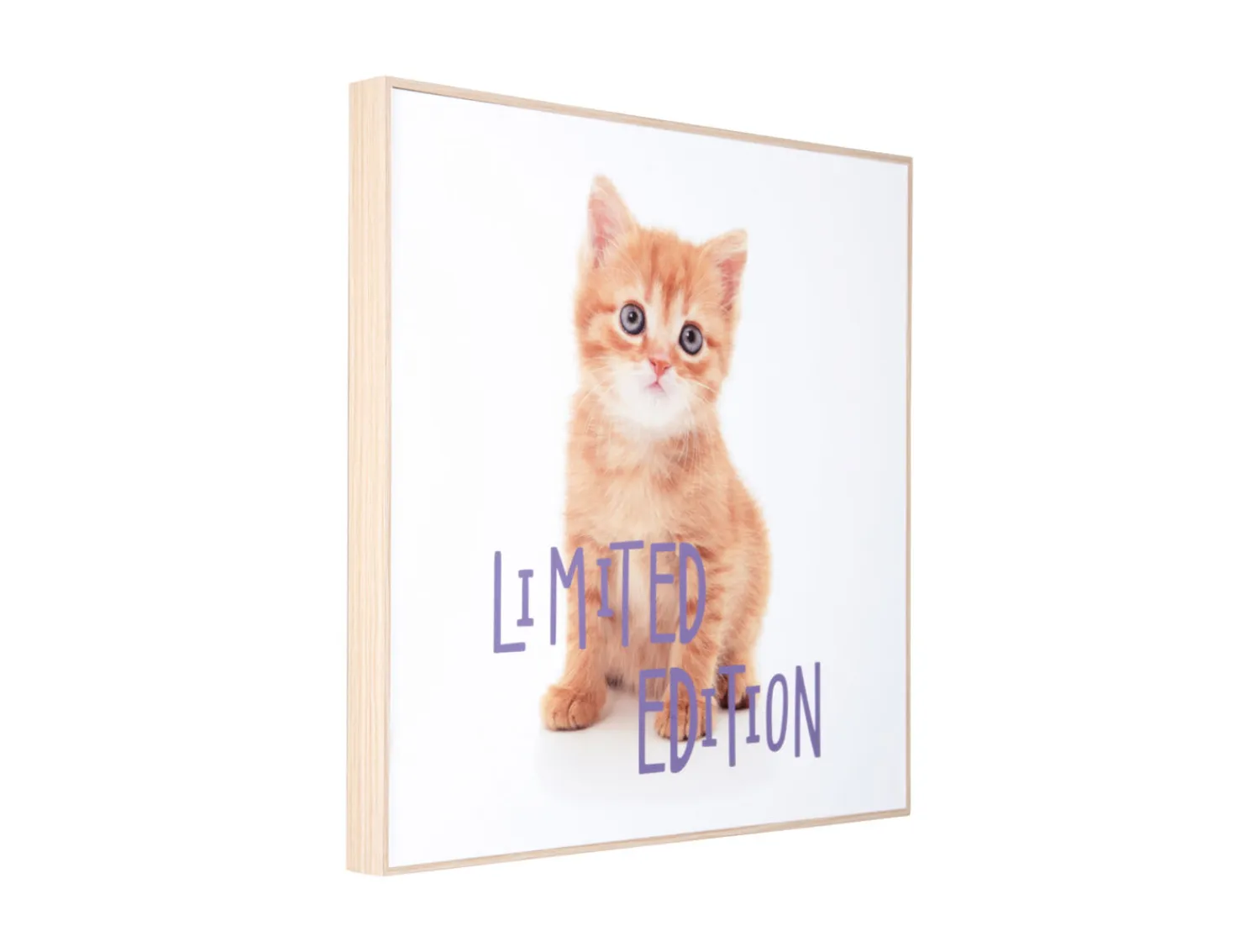 - Wall art kitten Limited Edition purple*Present time New