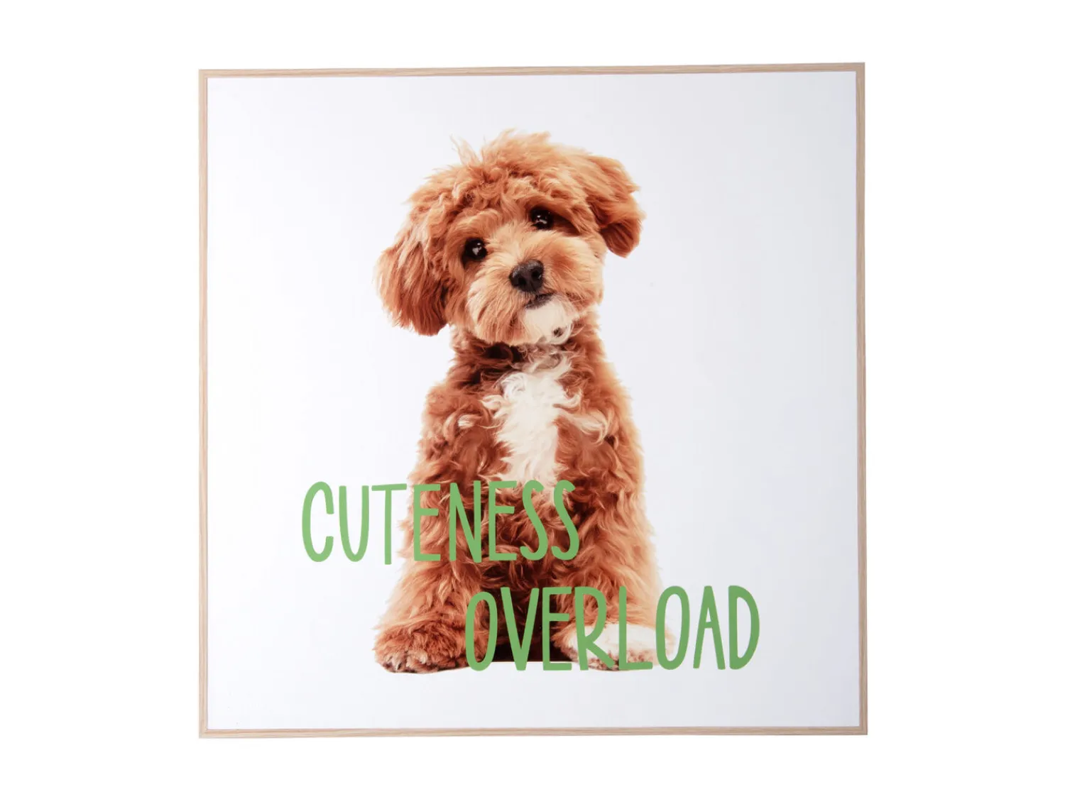 - Wall art puppy Cuteness Overload green*Present time