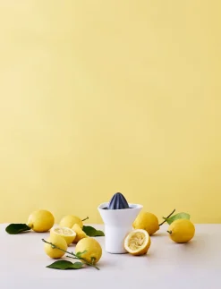 - citruspresser 0.33 l. white / grey^RIG-TIG Outlet