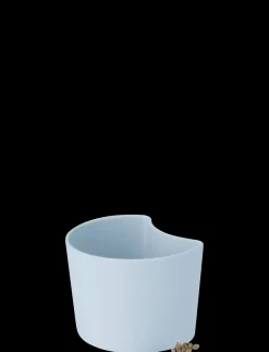 - YOUR TREE plantepotte med birkefrø blue^RIG-TIG Best