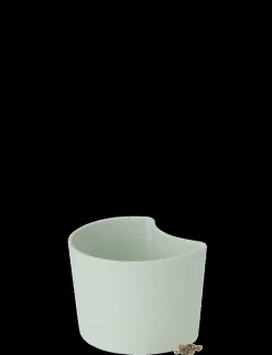 - YOUR TREE plantepotte med birkefrø green^RIG-TIG Sale