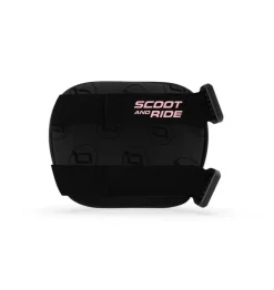 - Knæ- og albuebeskyttere - Rose - XXS*Scoot and Ride Discount