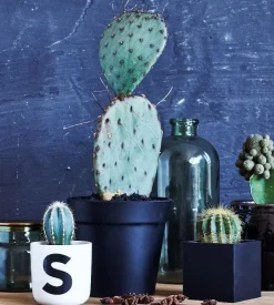 - Multi kvadratisk - 8x8x8 cm^Sej Design Outlet