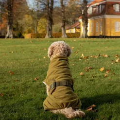 Sicarro - Fleecedække - Recovery - str. 40 (40-47 cm) - Charcoal^Siccaro Outlet