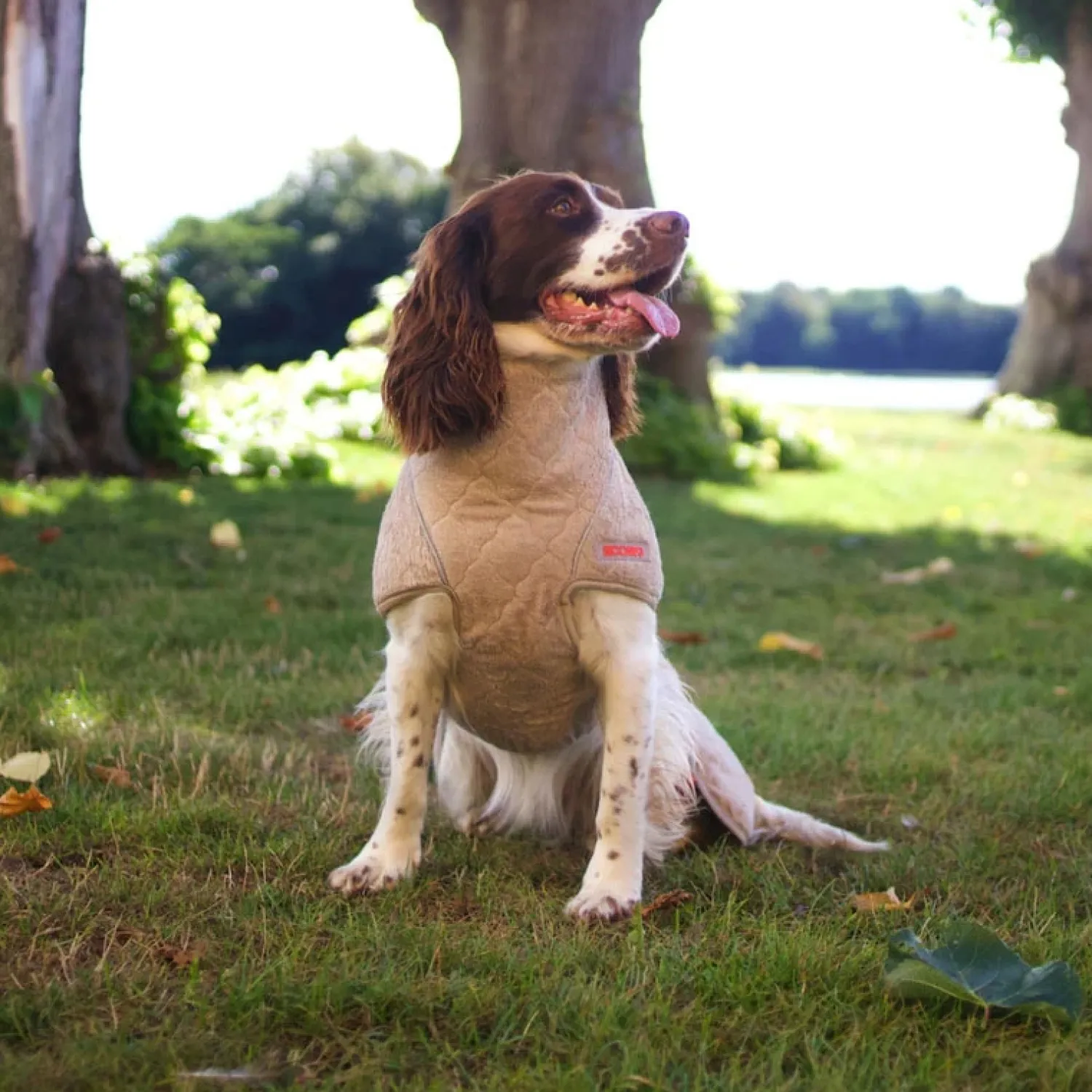 - Tørredragt - Supreme 2.0 - str. 45 - Elmwood*Siccaro Sale