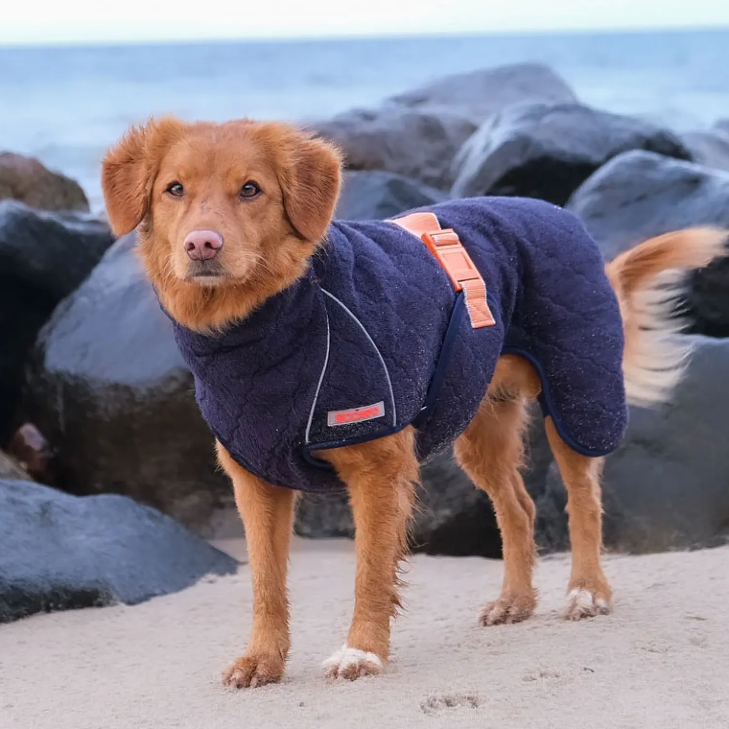 - Tørredragt - Supreme 2.0 - str. 45 - Elmwood*Siccaro Sale