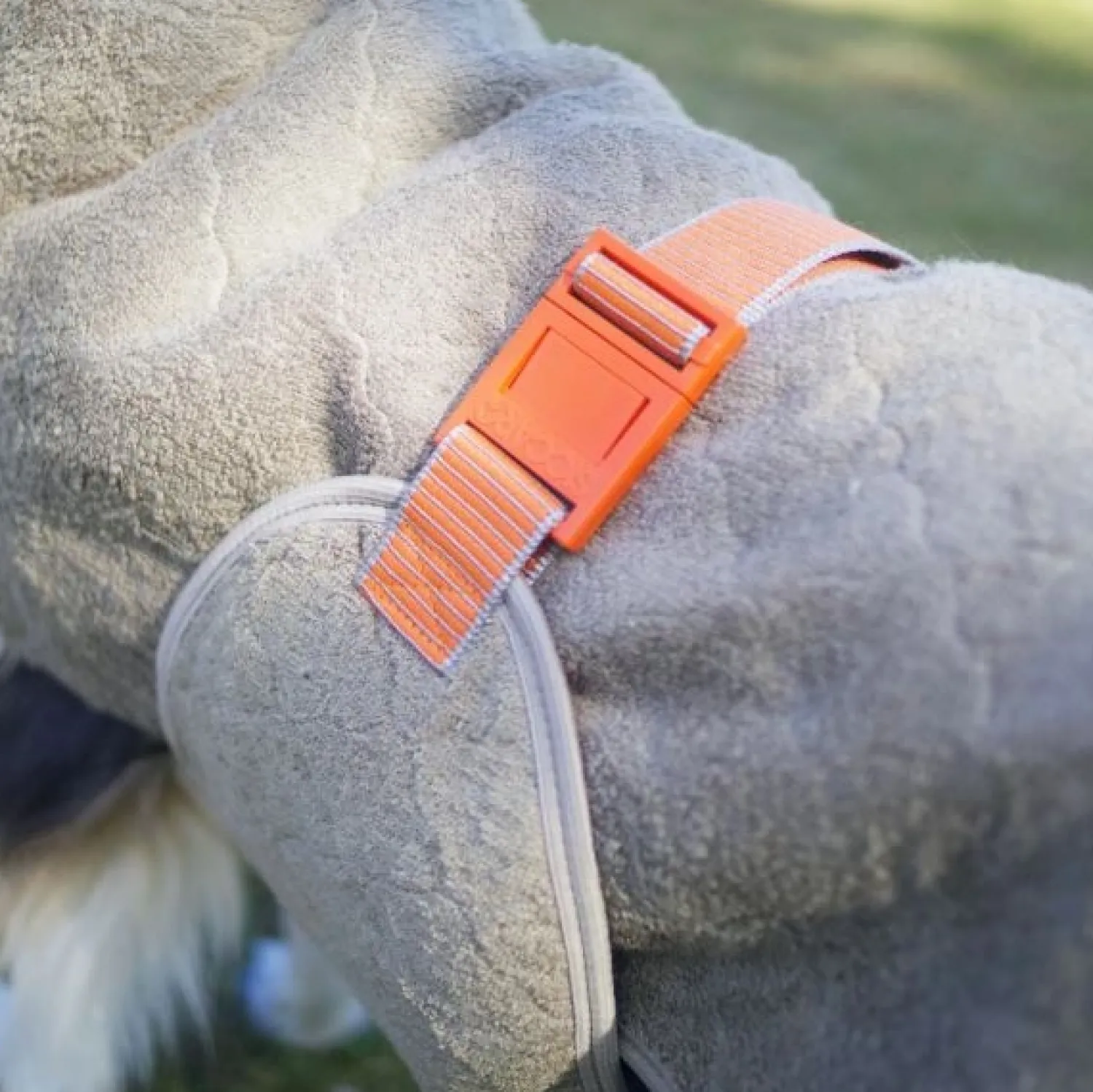 - Tørredragt - Supreme 2.0 - str. 45 - Elmwood*Siccaro Sale