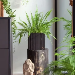 - Plantekasse - GrowON - Sort Ask*Squarely Copenhagen Online