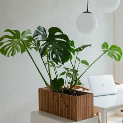 - Plantekasse - GrowWIDE - Mørk Eg - 60 x 22 x 24*Squarely Copenhagen