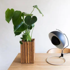 - Plantekasse - GrowSMALL - Mørk eg*Squarely Copenhagen Online