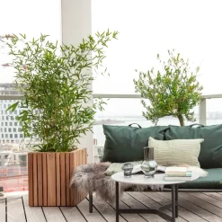 - Plantekasse - GrowBIG - Mørk Eg^Squarely Copenhagen Hot