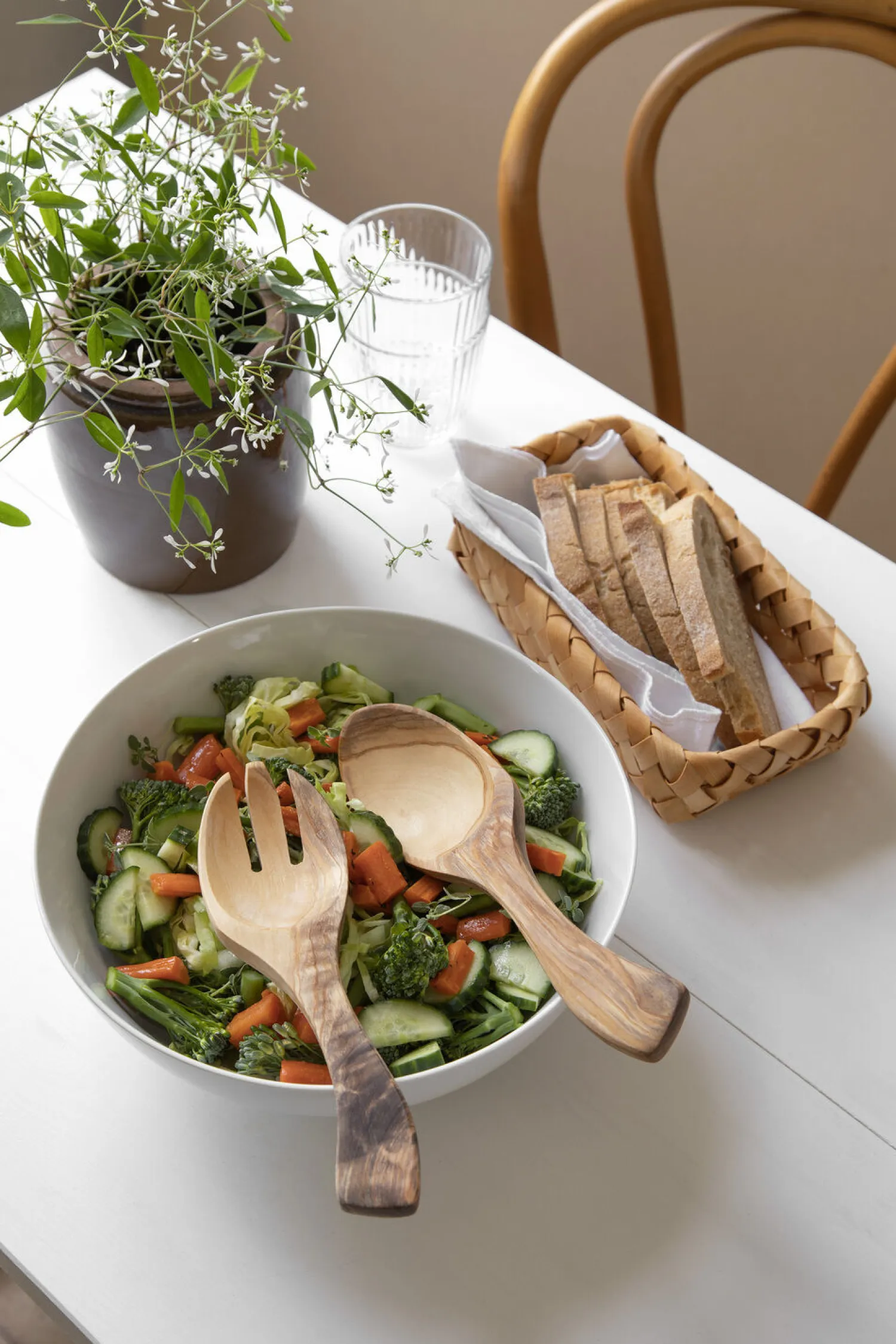 - SALAT BESTIK OLIVENTRÆ*Steel Function