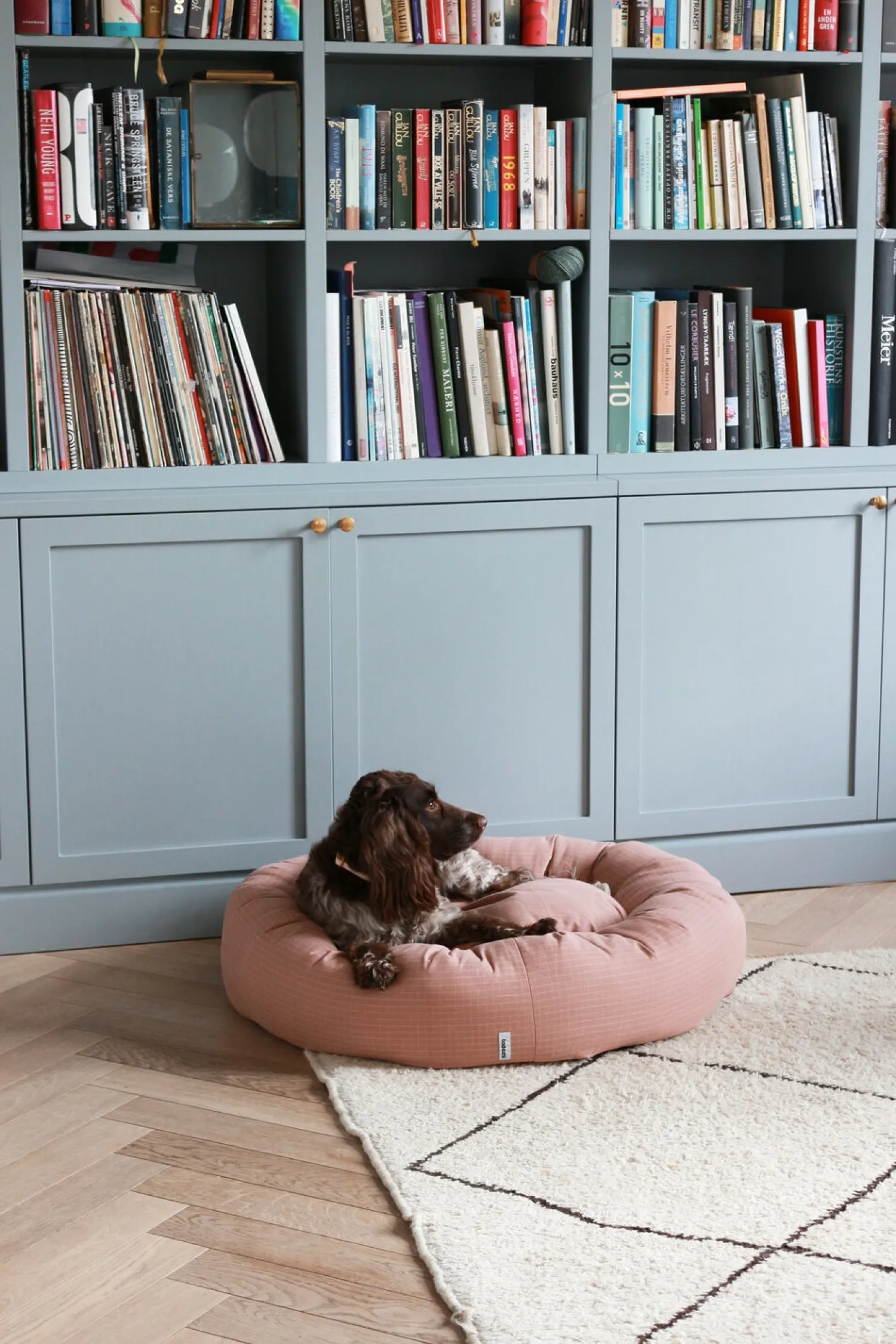 - Donut hundeseng - Rosaternet - Str. L^tadazhi Sale