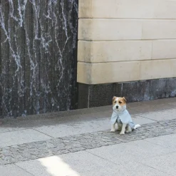 - Regnjakke til hund - Lysegrå - Str. 35^tadazhi Online