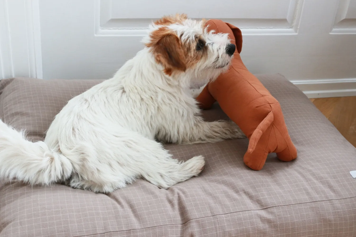 - Tobine hundeseng - Sandternet - Str. M*tadazhi Online